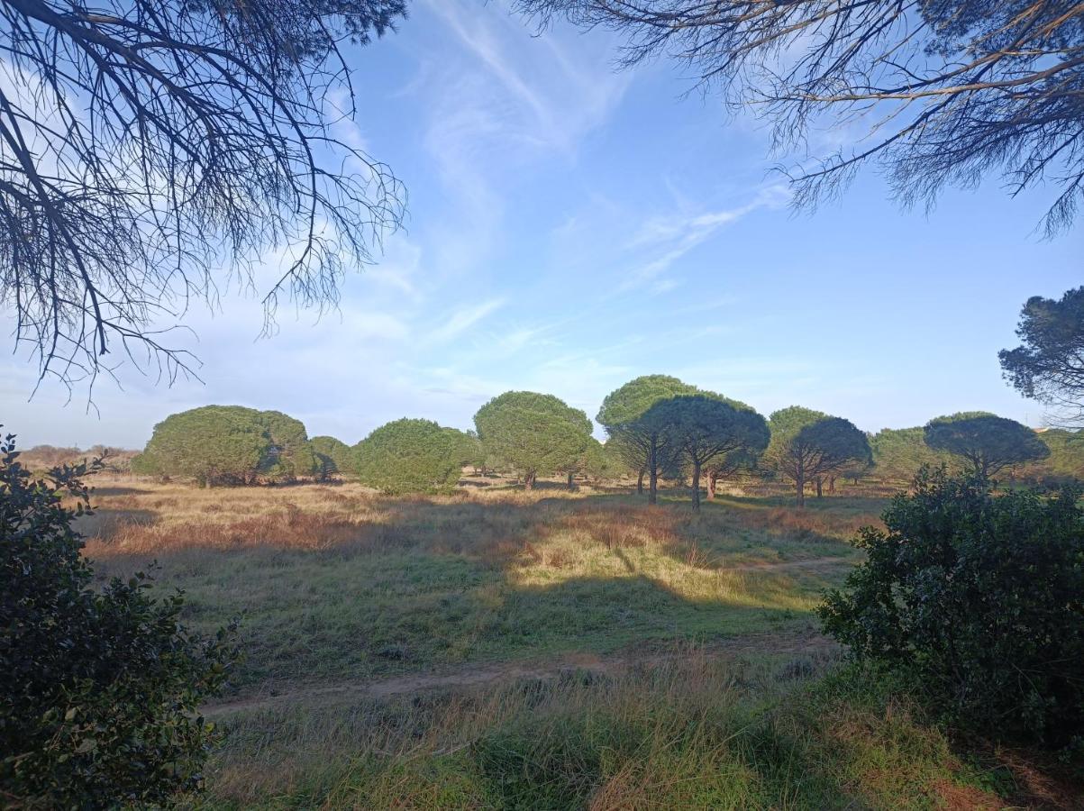 Grand Mobil 3chbr 2sdb La Carabasse Campsite Vias